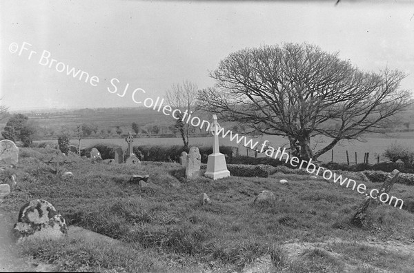 THE TREE OF ST.FINTAN'S WELL SEEN FROM GRAVEYARD